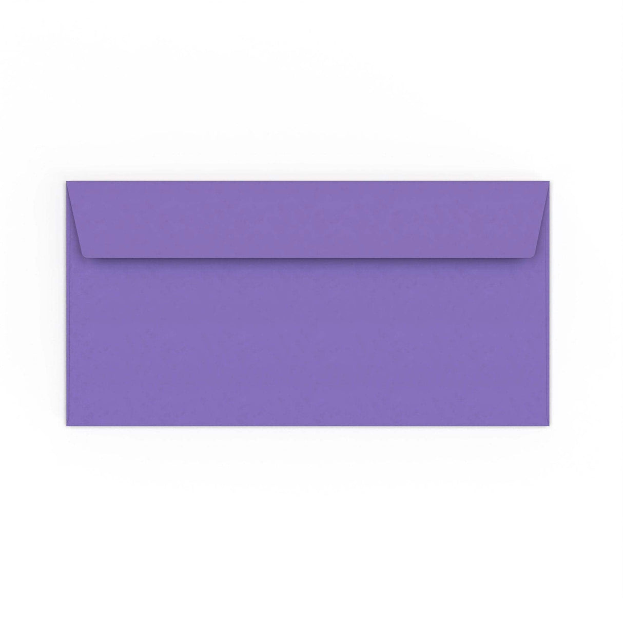 DL Purple plic (110 x 220mm)