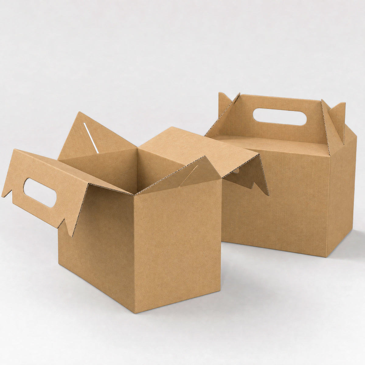 Takeaway Food Boxes