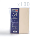 Carte 300 g/m² lot de 100 pièces