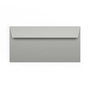 DL Silver Peel & Seal Coloured Envelope (110 x 220mm)