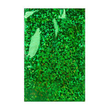 Buste Laminate Olografiche