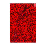 Buste Laminate Olografiche