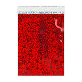 Buste Laminate Olografiche