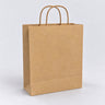 Twist Handle Paper Bags