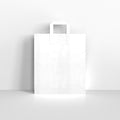 White Paper Flat Handle Carrier Bags
